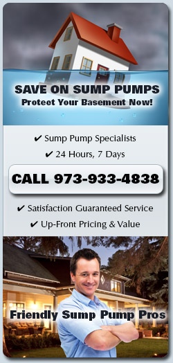 Sump Pumps Roxbury